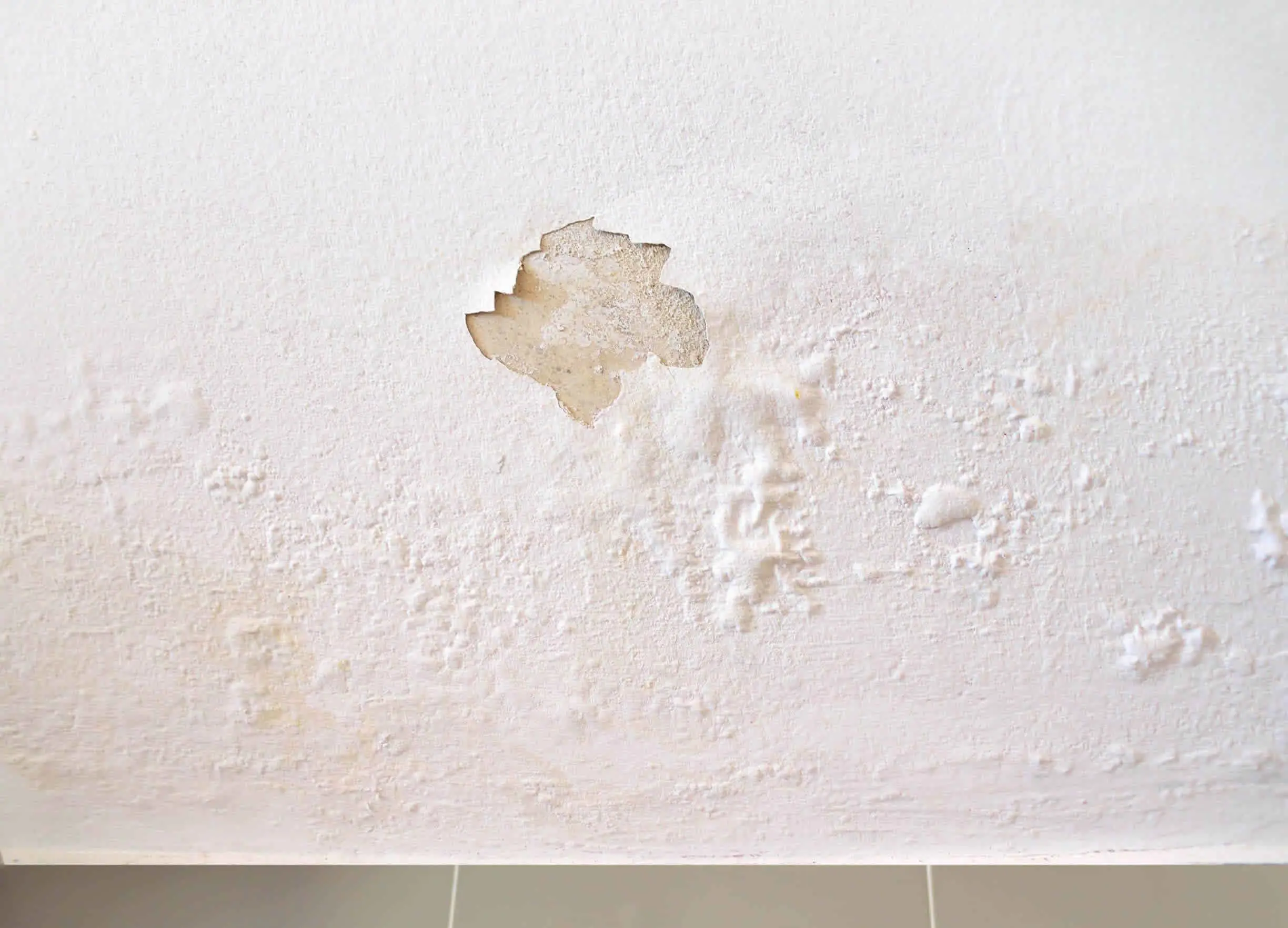 Non ignorare questi segni sul soffitto: ecco quando l’umidità è pericolosa