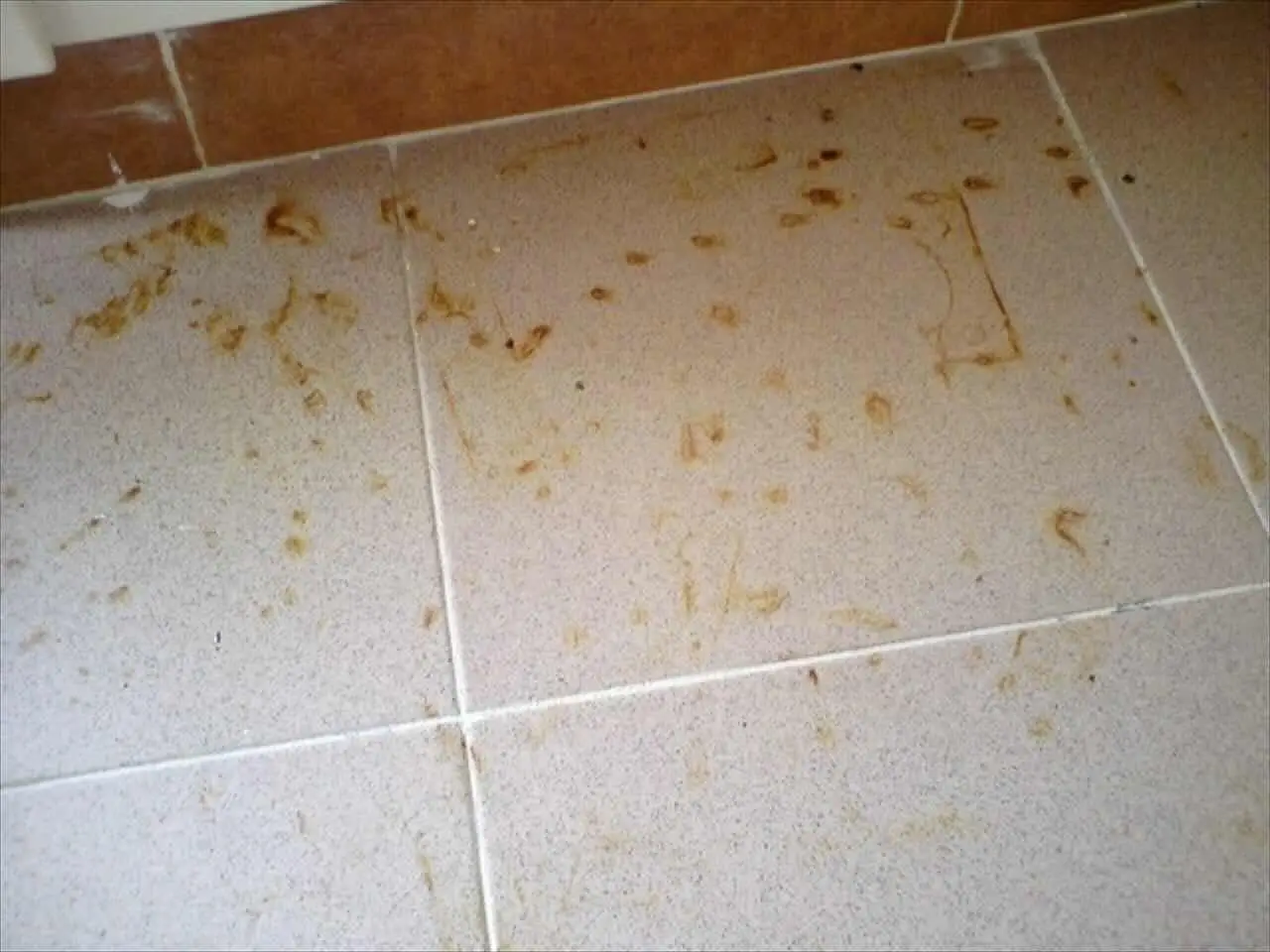 Perché si formano aloni sui pavimenti? Ecco il motivo che nessuno ti dice