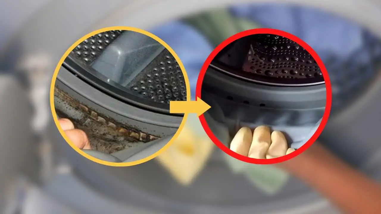 Come pulire la lavatrice a fondo? I punti che nessuno controlla mai