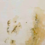 Come togliere l’umidità dalle pareti: ecco il rimedio definitivo