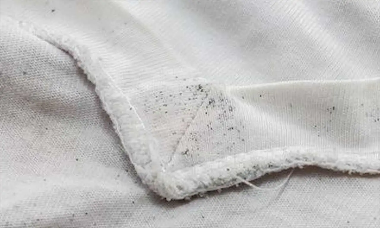 Come rimuovere le macchie di muffa dai tessuti? Il trucco efficace e delicato